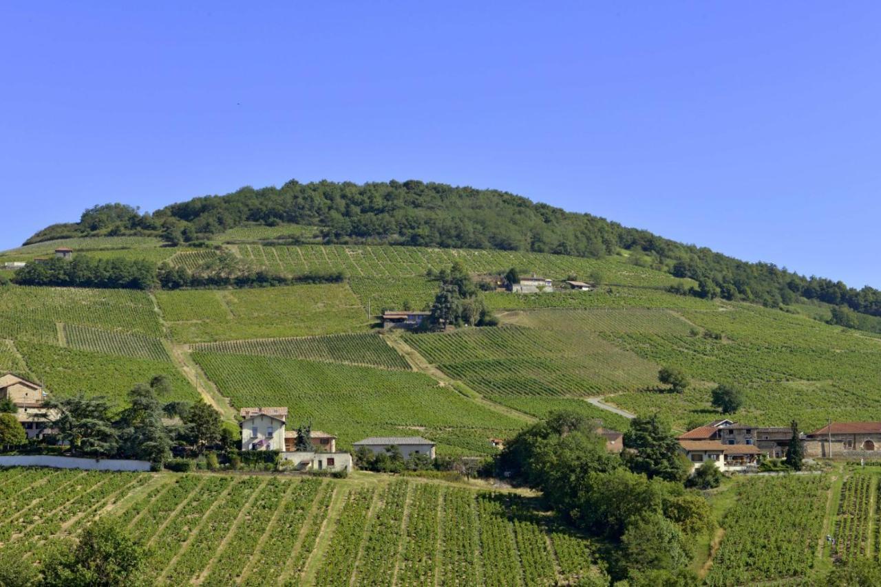 Appartement Cosy Au Coeur Du Beaujolais Saint-Lager Εξωτερικό φωτογραφία